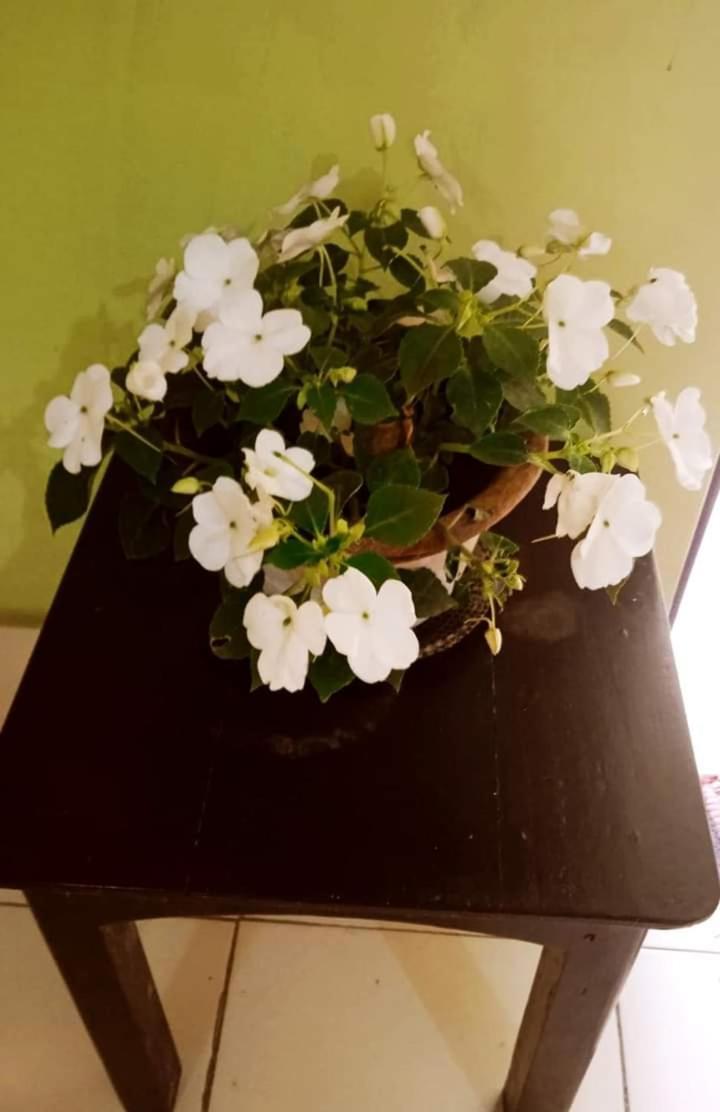 Bhoboghure Homestay Santiniketan Bolpur Bagian luar foto