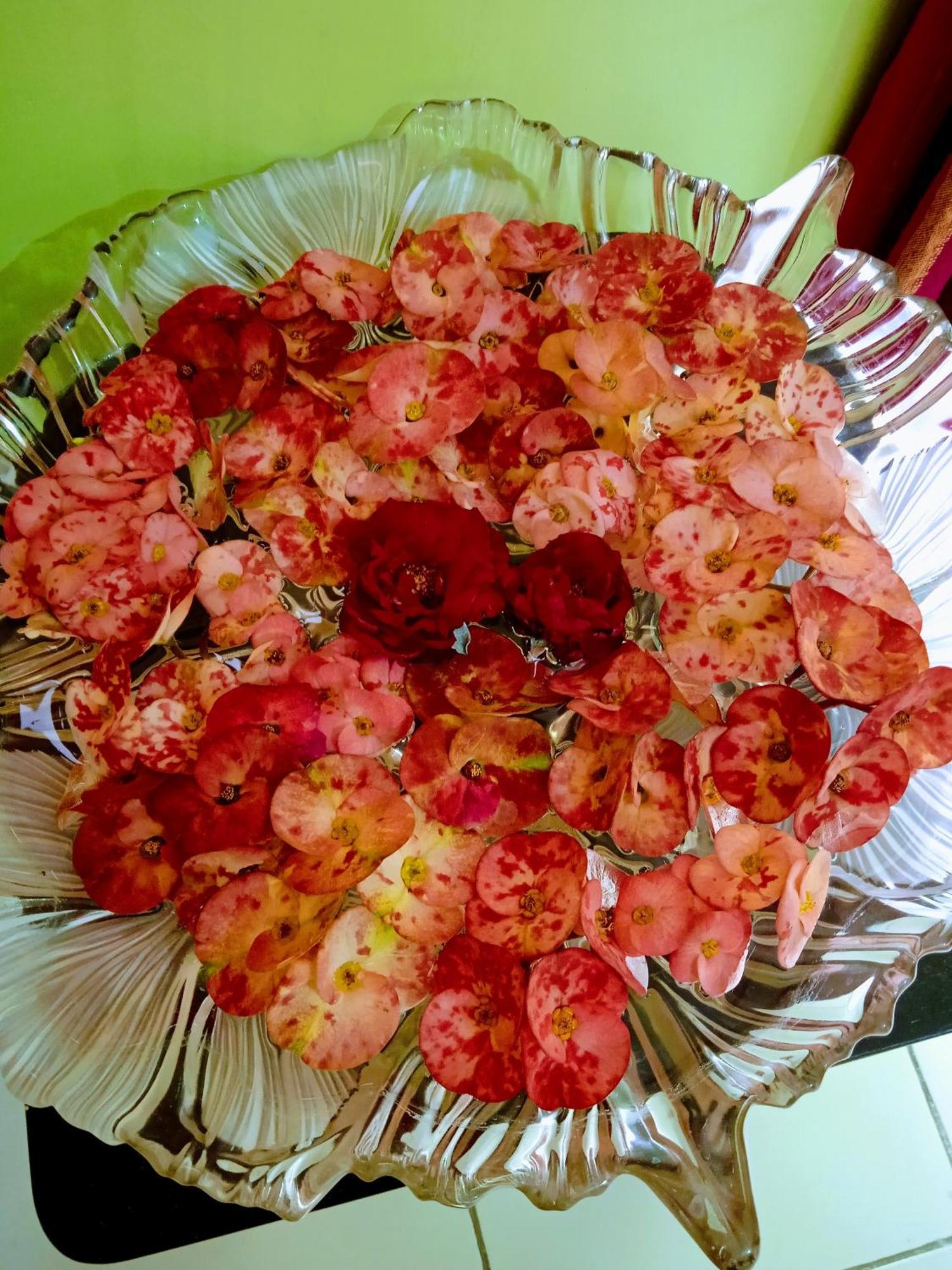 Bhoboghure Homestay Santiniketan Bolpur Bagian luar foto